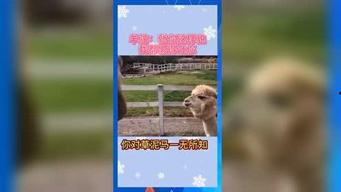 娱乐吃瓜群众分享