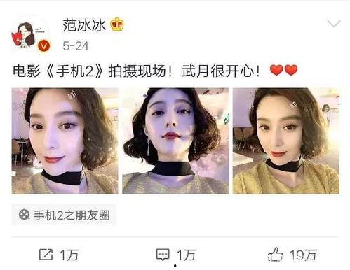 娱乐圈吃瓜兔子是谁啊,娱乐圈神秘“吃瓜兔子”身份揭秘